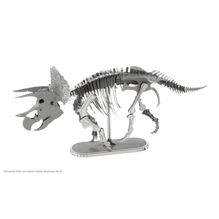 Triceratops