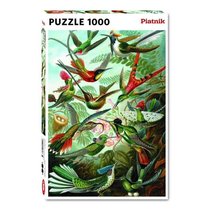 Haeckel - Kolibris
